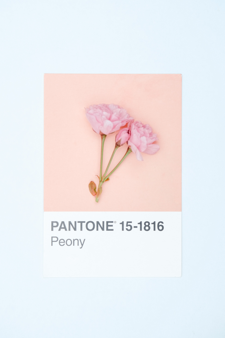 pantone_carousel_img001