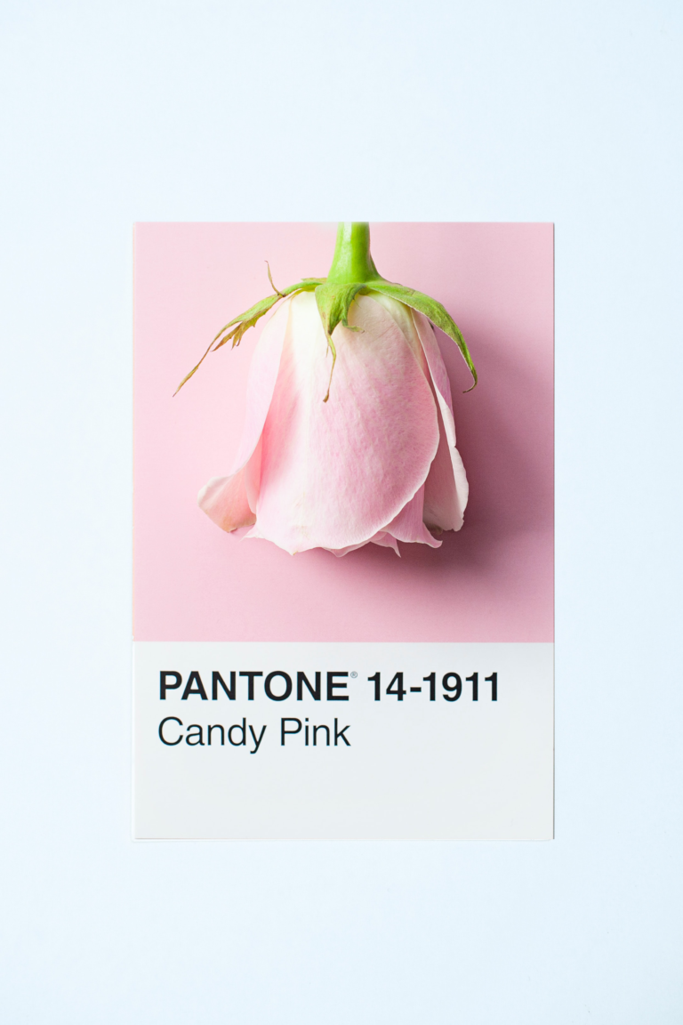 pantone_carousel_img002